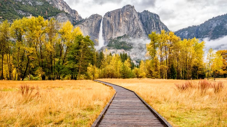 meadow with a boardwalk of Yosemite National Park in the fall